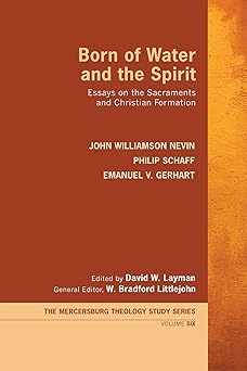 born of water and the spirit essays on the sacraments and christian formation 1st edition john williamson