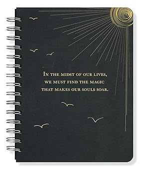 soar journal 1st edition taryn r sefecka 1593594380, 978-1593594381