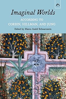 imaginal worlds according to corbin hillman and jung 1st edition marco andra c schwarzstein ,tom cheetham