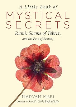 a little book of mystical secrets rumi shams of tabriz and the path of ecstasy 1st edition maryam mafi