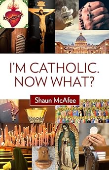 im catholic now what 1st edition shaun mcafee 1681923432, 978-1681925653