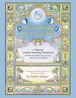 honoring our cycles a natural family planning workbook 1st edition katie singer 096708976x, 978-0967089768