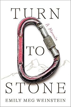 turn to stone a memoir 1st edition emily meg weinstein 1668047853, 978-1668047859