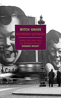 witch grass 1st edition raymond queneau ,barbara wright 1590170318, 978-1590170311