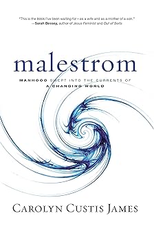 malestrom manhood swept into the currents of a changing world 1st edition carolyn custis james 0310325579,