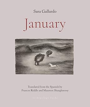 january 1st edition sara gallardo ,frances riddle ,maureen shaughnessy 1953861644, 978-1953861641