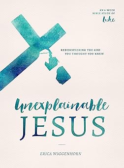 unexplainable jesus rediscovering the god you thought you knew 1st edition erica wiggenhorn 0802419097,
