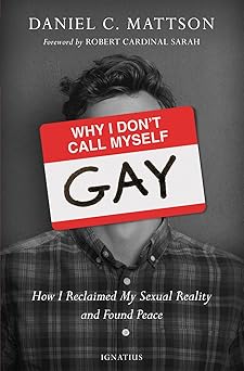 why i dont call myself gay how i reclaimed my sexual reality and found peace 1st edition daniel mattson
