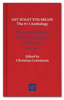 say what you mean 1st edition christian lorentzen 1907903569, 978-1907903564