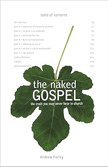 the naked gospel the truth you may never hear in church 1st edition andrew farley 0310293065, 978-0310293064