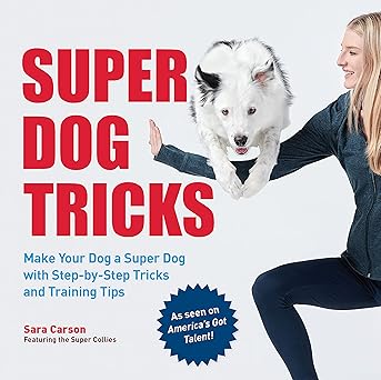super dog tricks make your dog a super dog with step by step tricks and training tips as seen on americaa s