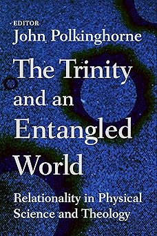 the trinity and an entangled world relationality in physical science and theology 1st edition john