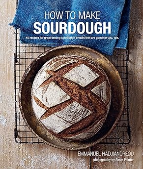 how to make sourdough 45 recipes for great tasting sourdough breads that are good for you too 1st edition