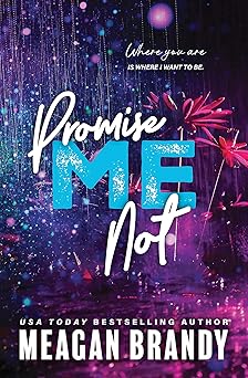 promise me not 1st edition meagan brandy 1464221928, 978-1464221927