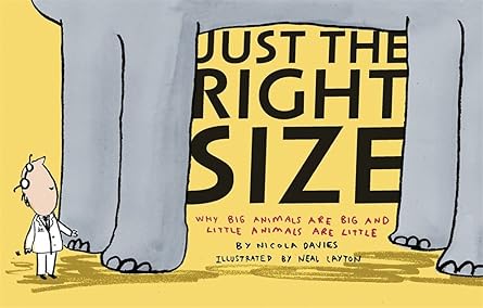 just the right size why big animals are big and little animals are little 1st edition nicola davies ,neal