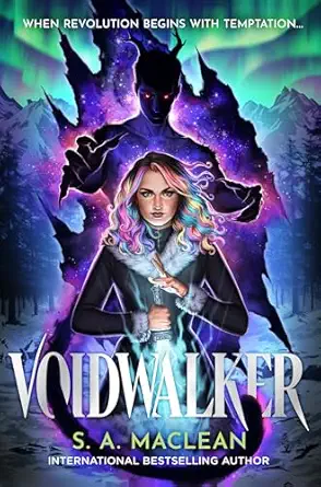 voidwalker 1st edition s a maclean 0316573116, 978-0316573115
