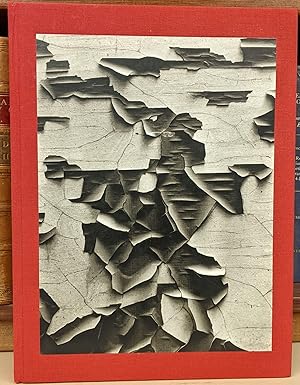 aaron siskind 100 1st edition aaron siskind ,a blind spot book 1576871940, 978-1576871942