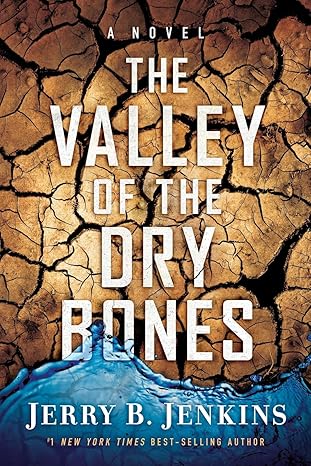 the valley of dry bones a novel 1st edition jerry b jenkins 1617950084, 978-1617950087