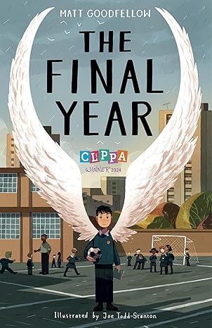 the final year 1st edition matt goodfellow ,joe todd stanton 1915659043, 978-1915659040