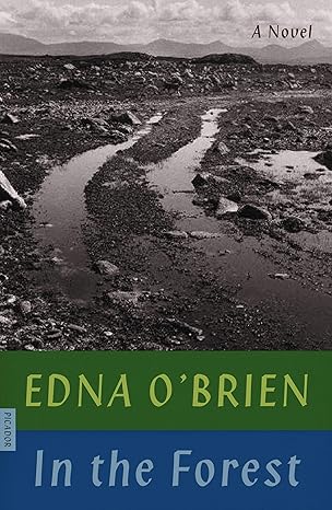in the forest 1st edition edna o\\\'brien 0374538778, 978-0374538774