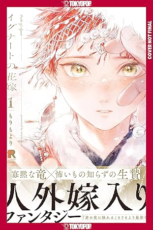 bride of ignat volume 1 1st edition moyori mori 1427884927, 978-1427884923