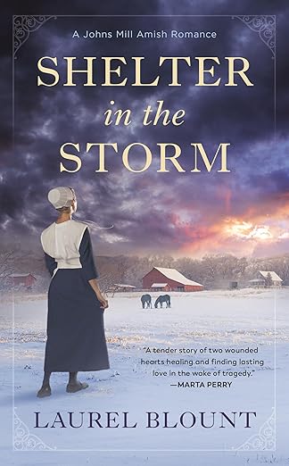 shelter in the storm 1st edition laurel blount 0593200209, 978-0593200209