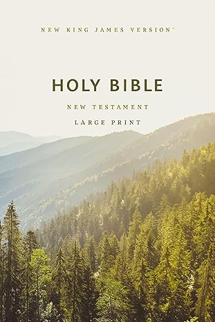 nkjv large print outreach new testament bible scenic softcover comfort print 1st edition thomas nelson