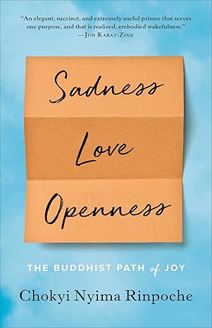 sadness love openness the buddhist path of joy 1st edition chokyi nyima rinpoche 1611804884, 978-1611804881