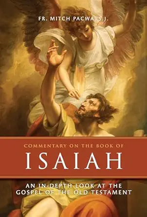 commentary on the book of isaiah an in depth look at the gospel of the old testament 1st edition fr mitch