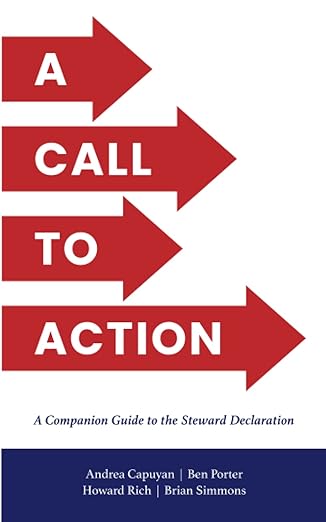 a call to action a companion guide to the steward declaration 1st edition brian simmons ,andrea capuyan