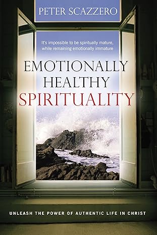 emotionally healthy spirituality unleash a revolution in your life in christ 1st edition mr peter scazzero