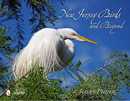 new jersey birds and beyond 1st edition susan puder 0764340212, 978-0764340215