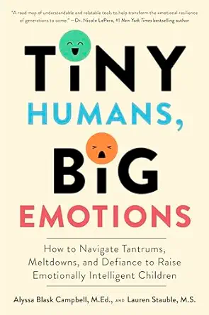 tiny humans big emotions how to navigate tantrums meltdowns and defiance to raise emotionally intelligent