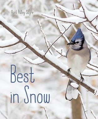 best in snow 1st edition april pulley sayre 1481459163, 978-1481459167