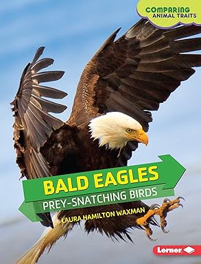 bald eagles prey snatching birds 1st edition laura hamilton waxman 1467795070, 978-1467795074