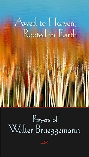 awed to heaven rooted in earth prayers of walter brueggemann 1st edition walter brueggemann ,edwin searcy