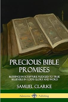 precious bible promises blessings in scripture pledged to true believers in goda s glory and word 1st edition