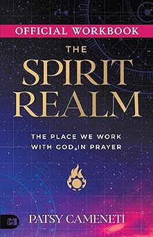 the official workbook for the spirit realm the place we work with god in prayer 1st edition patsy cameneti