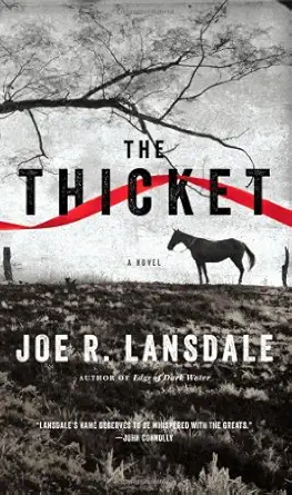 the thicket 1st edition joe r lansdale 031618845x, 978-0316188456