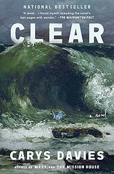 clear a novel 1st edition carys davies 1668030675, 978-1668030677