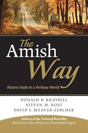 the amish way patient faith in a perilous world 1st edition donald b kraybill 111815276x, 978-1118152768