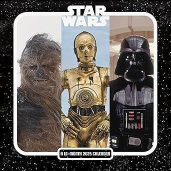 2025 star wars saga mini wall calendar 1st edition trends international 1438898541, 978-1438898544