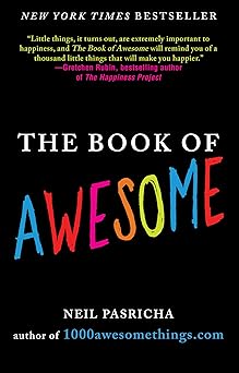 the book of awesome snow days bakery air finding money in your pocket and other simple brilliant things 1st
