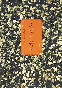 i e i i e by i e a novel a winner of the 2024 nobel prize in literature 1st edition han kang i e 8936434128,