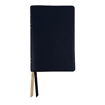 lsb holy bible handy size black premium genuine leather legacy standard bible in a single column red letter