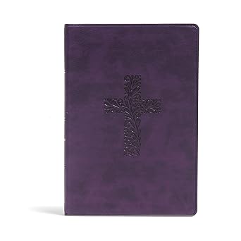kjv rainbow study bible purple leathertouch kjv holy bible black letter pure cambridge text color coded bible