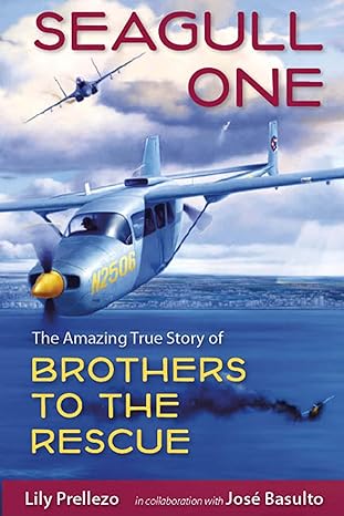 seagull one the amazing true story of brothers to the rescue 1st edition lily prellezo ,josa c basulto
