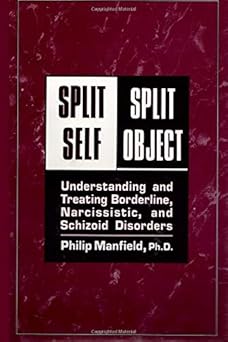 split self/ split object understanding and treating borderline narcissistic and schizoid disorders 1st