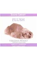 flush lib/e a biography 1st edition virginia woolf ,eileen atkins 0792793013, 978-0792793014