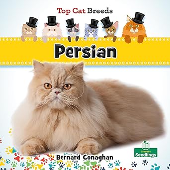 persian 1st edition bernard conaghan 103983843x, 978-1039838437